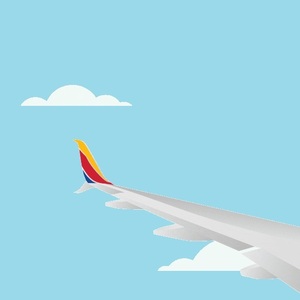 Team Page: ♥️✈️ SWA Sky Crew and Friends ✈️♥️